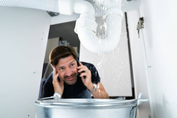 Best Clogged Drain Plumber  in Farr West, UT